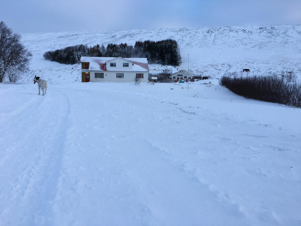 Oendolfsstathir Farm B&B Laugar  Esterno foto