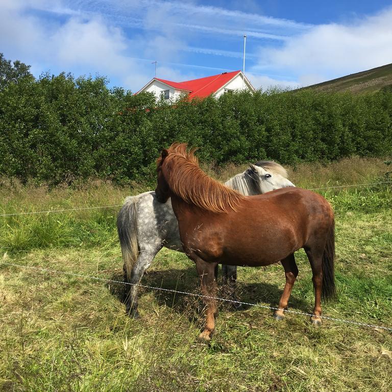 Oendolfsstathir Farm B&B Laugar  Esterno foto